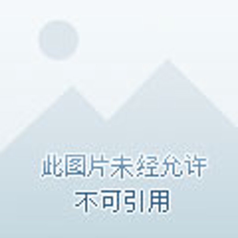 洗护用品商店：行业动态与发展趋势